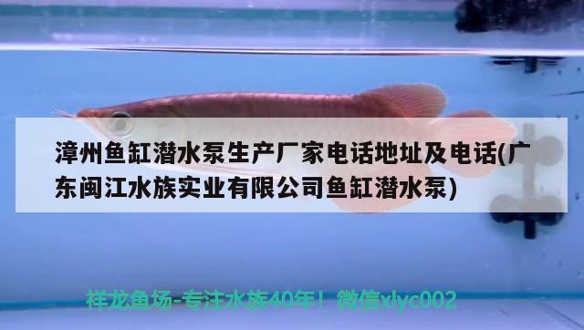 漳州魚(yú)缸潛水泵生產(chǎn)廠家電話地址及電話(廣東閩江水族實(shí)業(yè)有限公司魚(yú)缸潛水泵) 虎魚(yú)百科