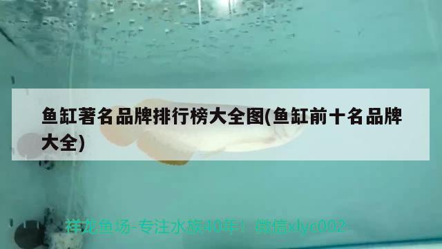 魚缸著名品牌排行榜大全圖(魚缸前十名品牌大全)