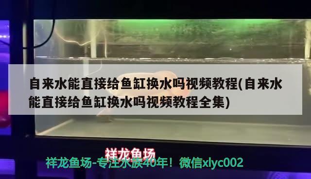 自來水能直接給魚缸換水嗎視頻教程(自來水能直接給魚缸換水嗎視頻教程全集) 魚缸水泵