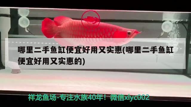 哪里二手魚缸便宜好用又實惠(哪里二手魚缸便宜好用又實惠的)