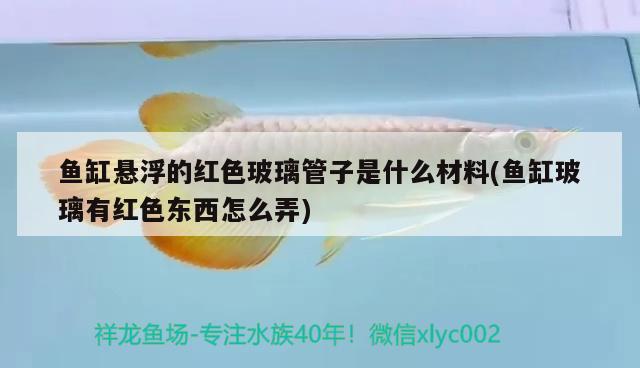 魚(yú)缸懸浮的紅色玻璃管子是什么材料(魚(yú)缸玻璃有紅色東西怎么弄) 藍(lán)底過(guò)背金龍魚(yú)