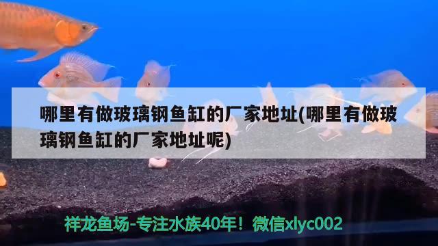 哪里有做玻璃鋼魚缸的廠家地址(哪里有做玻璃鋼魚缸的廠家地址呢) 白條過背金龍魚