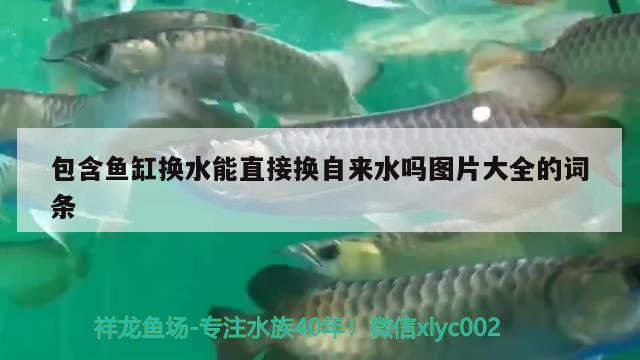 包含魚缸換水能直接換自來水嗎圖片大全的詞條