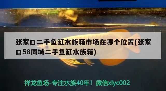 張家口二手魚缸水族箱市場在哪個位置(張家口58同城二手魚缸水族箱) 魚缸/水族箱