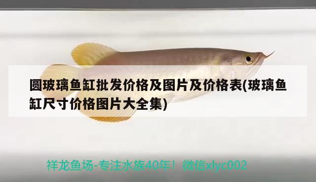 圓玻璃魚(yú)缸批發(fā)價(jià)格及圖片及價(jià)格表(玻璃魚(yú)缸尺寸價(jià)格圖片大全集)