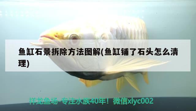 魚(yú)缸石景拆除方法圖解(魚(yú)缸鋪了石頭怎么清理)