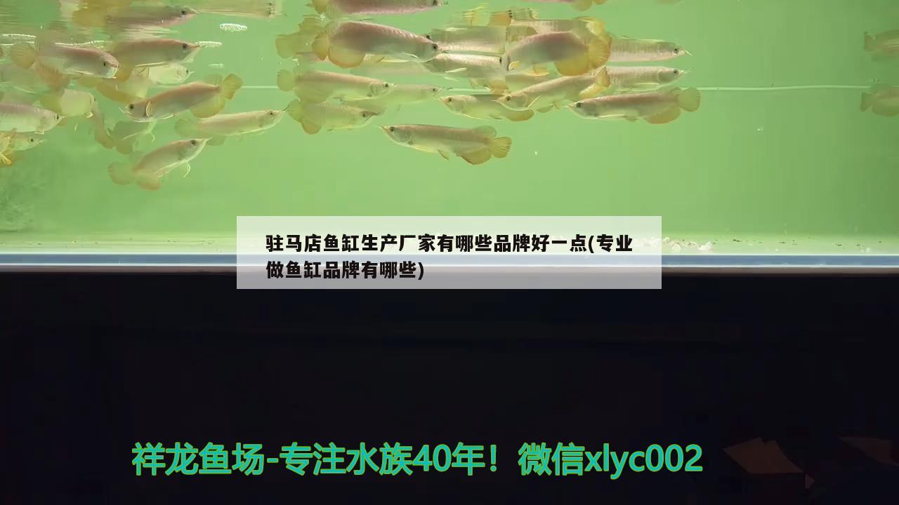 駐馬店魚缸生產(chǎn)廠家有哪些品牌好一點(專業(yè)做魚缸品牌有哪些) 細(xì)線銀板魚苗