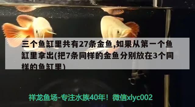 三個魚缸里共有27條金魚,如果從第一個魚缸里拿出(把7條同樣的金魚分別放在3個同樣的魚缸里) 南美異型魚