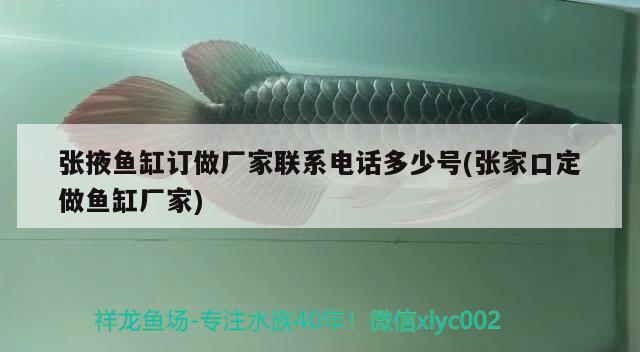 張掖魚缸訂做廠家聯(lián)系電話多少號(張家口定做魚缸廠家) 祥龍龍魚魚糧