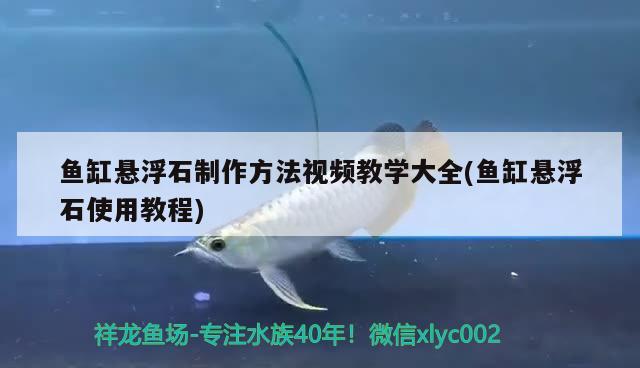 魚缸懸浮石制作方法視頻教學大全(魚缸懸浮石使用教程)