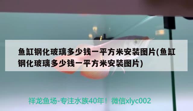 魚缸鋼化玻璃多少錢一平方米安裝圖片(魚缸鋼化玻璃多少錢一平方米安裝圖片)