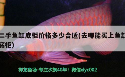 二手魚缸底柜價格多少合適(去哪能買上魚缸底柜) 元寶鳳凰魚