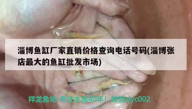 淄博魚缸廠家直銷價格查詢電話號碼(淄博張店最大的魚缸批發(fā)市場) 水溫計