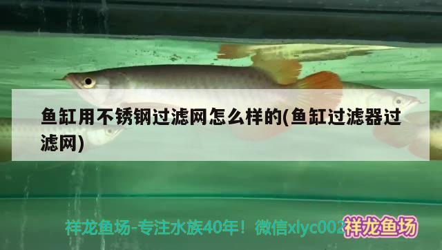 魚(yú)缸用不銹鋼過(guò)濾網(wǎng)怎么樣的(魚(yú)缸過(guò)濾器過(guò)濾網(wǎng)) 照明器材