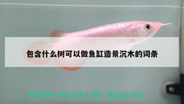 包含什么樹可以做魚缸造景沉木的詞條