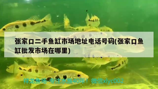 張家口二手魚缸市場地址電話號碼(張家口魚缸批發(fā)市場在哪里) 魚缸百科