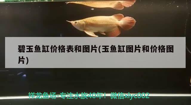 碧玉魚缸價(jià)格表和圖片(玉魚缸圖片和價(jià)格圖片)