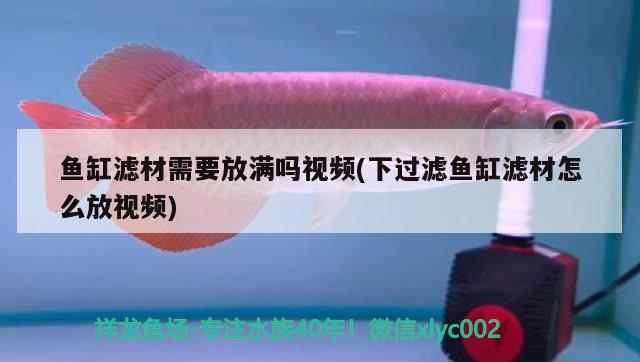 魚缸濾材需要放滿嗎視頻(下過濾魚缸濾材怎么放視頻)