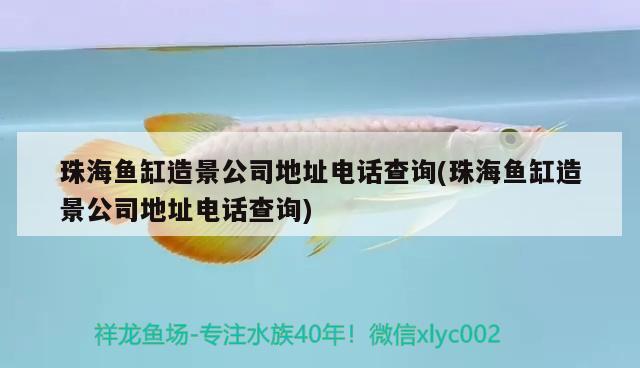 珠海魚(yú)缸造景公司地址電話(huà)查詢(xún)(珠海魚(yú)缸造景公司地址電話(huà)查詢(xún)) 生態(tài)瓶/創(chuàng)意缸/桌面微景缸