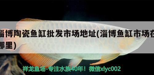 淄博陶瓷魚缸批發(fā)市場地址(淄博魚缸市場在哪里) 印尼虎苗