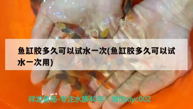 魚缸膠多久可以試水一次(魚缸膠多久可以試水一次用) 斑馬鴨嘴魚