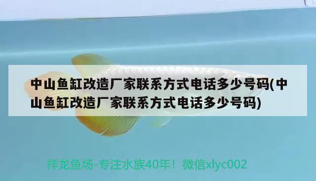 中山魚缸改造廠家聯(lián)系方式電話多少號(hào)碼(中山魚缸改造廠家聯(lián)系方式電話多少號(hào)碼) 龍魚芯片掃碼器