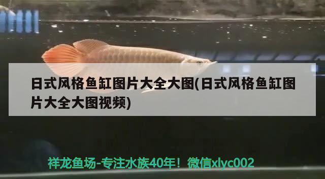 日式風(fēng)格魚缸圖片大全大圖(日式風(fēng)格魚缸圖片大全大圖視頻) 森森魚缸