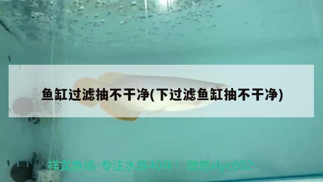 魚缸過濾抽不干凈(下過濾魚缸抽不干凈)