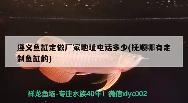 遵義魚缸定做廠家地址電話多少(撫順哪有定制魚缸的) 白條過背金龍魚