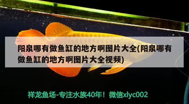 陽泉哪有做魚缸的地方啊圖片大全(陽泉哪有做魚缸的地方啊圖片大全視頻) 祥龍魚場品牌產(chǎn)品