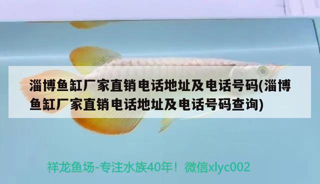 淄博魚缸廠家直銷電話地址及電話號(hào)碼(淄博魚缸廠家直銷電話地址及電話號(hào)碼查詢) 白寫錦鯉魚