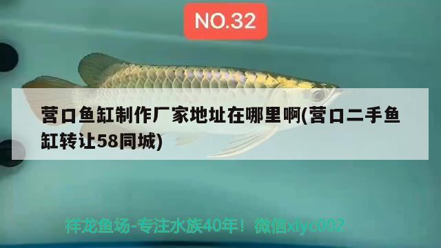 營口魚缸制作廠家地址在哪里啊(營口二手魚缸轉(zhuǎn)讓58同城)