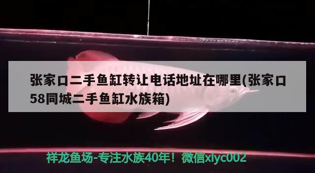 張家口二手魚缸轉(zhuǎn)讓電話地址在哪里(張家口58同城二手魚缸水族箱) 魚缸/水族箱