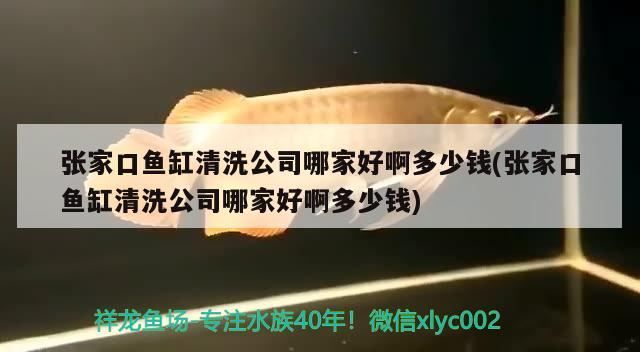 張家口魚缸清洗公司哪家好啊多少錢(張家口魚缸清洗公司哪家好啊多少錢)