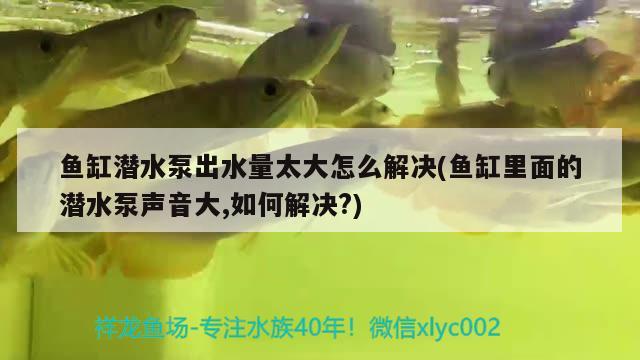 魚缸潛水泵出水量太大怎么解決(魚缸里面的潛水泵聲音大,如何解決?) 水族用品