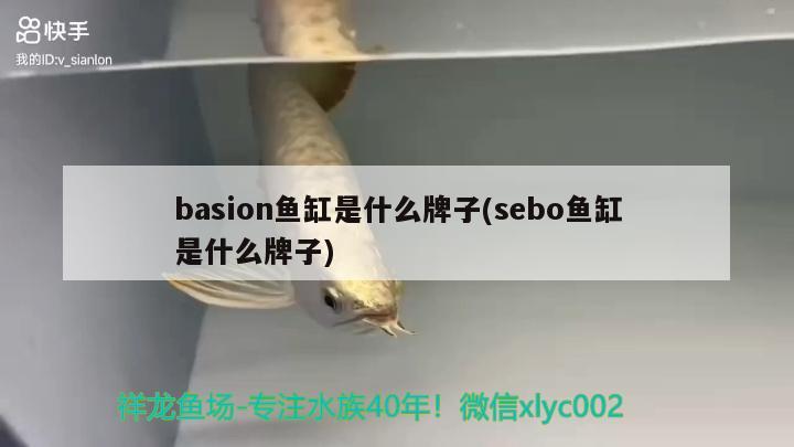 basion魚缸是什么牌子(sebo魚缸是什么牌子)