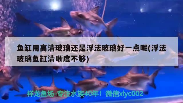 魚缸用高清玻璃還是浮法玻璃好一點(diǎn)呢(浮法玻璃魚缸清晰度不夠)