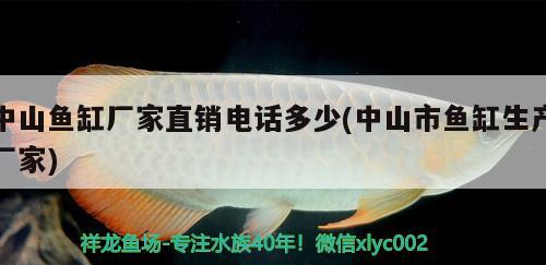 中山魚缸廠家直銷電話多少(中山市魚缸生產(chǎn)廠家)