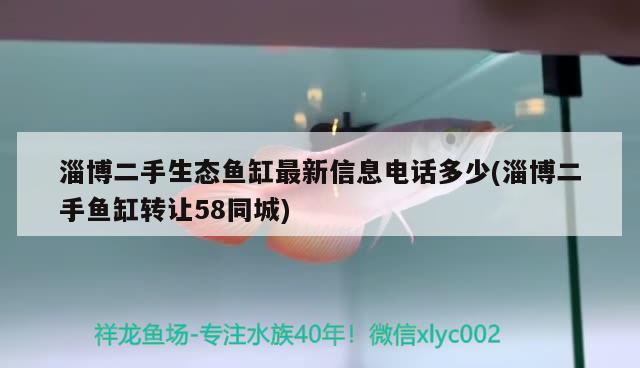 淄博二手生態(tài)魚(yú)缸最新信息電話多少(淄博二手魚(yú)缸轉(zhuǎn)讓58同城) 斯維尼關(guān)刀魚(yú)