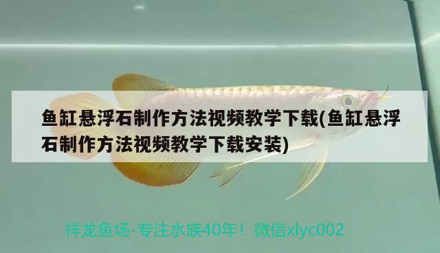 魚缸懸浮石制作方法視頻教學(xué)下載(魚缸懸浮石制作方法視頻教學(xué)下載安裝) 觀賞魚水族批發(fā)市場