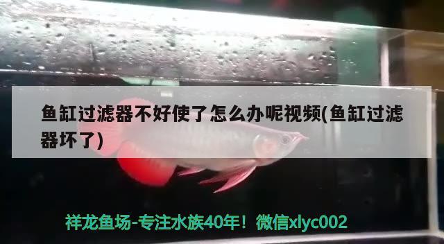 魚缸過濾器不好使了怎么辦呢視頻(魚缸過濾器壞了)