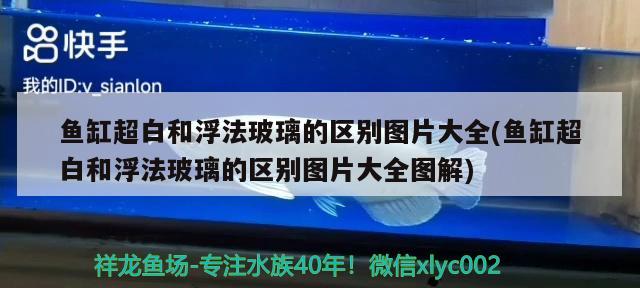 魚缸超白和浮法玻璃的區(qū)別圖片大全(魚缸超白和浮法玻璃的區(qū)別圖片大全圖解) 福魟魟魚