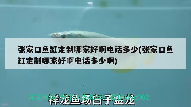 張家口魚缸定制哪家好啊電話多少(張家口魚缸定制哪家好啊電話多少啊) 祥龍龍魚魚糧