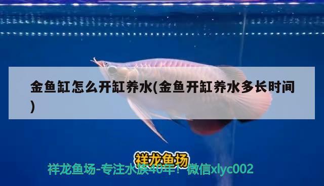 金魚缸怎么開缸養(yǎng)水(金魚開缸養(yǎng)水多長時間)