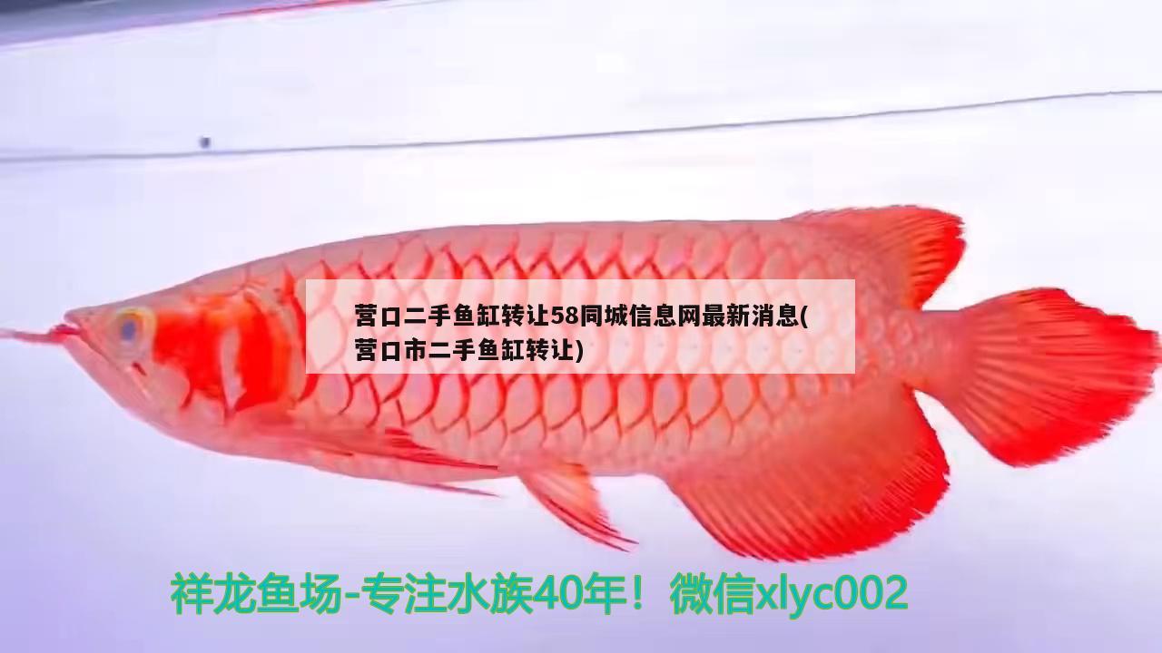 營口二手魚缸轉(zhuǎn)讓58同城信息網(wǎng)最新消息(營口市二手魚缸轉(zhuǎn)讓) 野彩魚