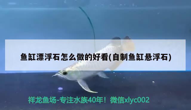 魚(yú)缸漂浮石怎么做的好看(自制魚(yú)缸懸浮石)