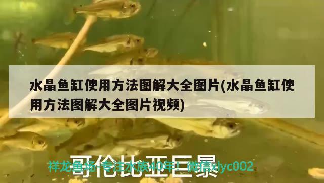 水晶魚缸使用方法圖解大全圖片(水晶魚缸使用方法圖解大全圖片視頻)