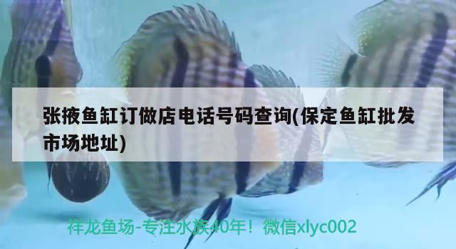 張掖魚缸訂做店電話號碼查詢(保定魚缸批發(fā)市場地址)