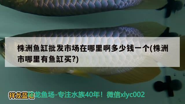 株洲魚缸批發(fā)市場在哪里啊多少錢一個(株洲市哪里有魚缸買?)