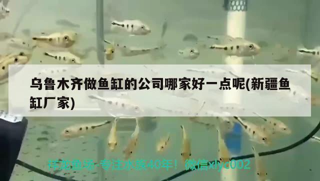 烏魯木齊做魚缸的公司哪家好一點呢(新疆魚缸廠家)